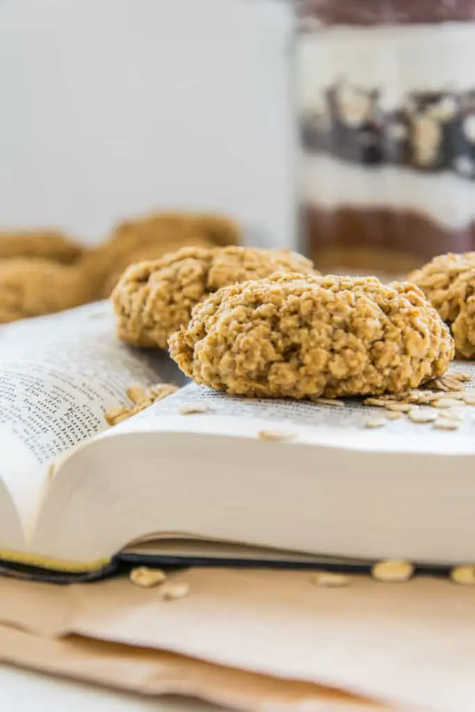 Haferflocken-Cookies