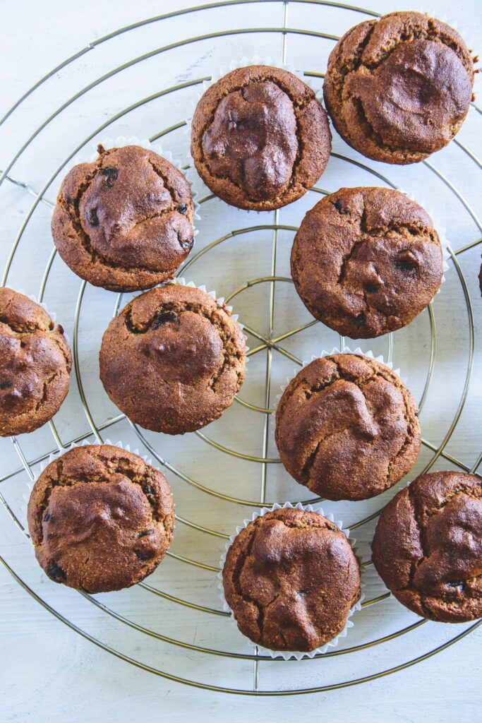 Peanut Chocolate Chip Muffins auf einem silbernen Kuchengitter. Top View.