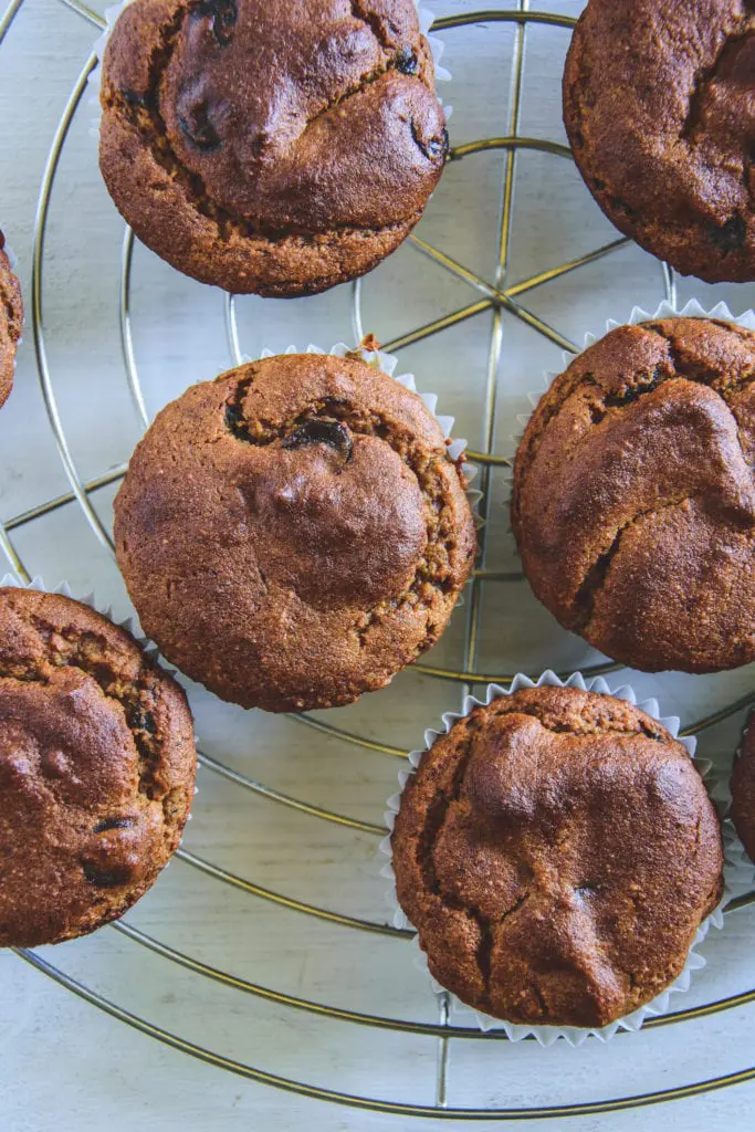 Peanut Chocolate Chip Muffins auf einem silbernen Kuchengitter. Top View.