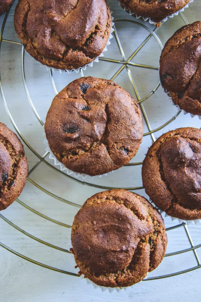 Peanut Chocolate Chip Muffins auf einem silbernen Kuchengitter. Top View.