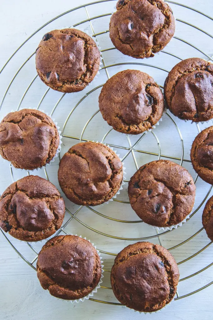 Peanut Chocolate Chip Muffins auf einem silbernen Kuchengitter. Top View.