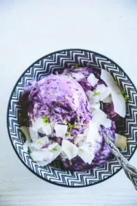 Frozen Blueberry Skyr garniert mit Kokoschips und abgeriebener Limettenschale in einer dunkelblau-weiß gemusterten Schüssel. Löffel mit kunstvollem Stiel. Top View.