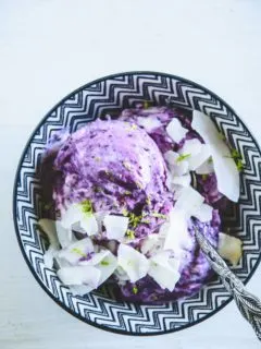 Frozen Blueberry Skyr garniert mit Kokoschips und abgeriebener Limettenschale in einer dunkelblau-weiß gemusterten Schüssel. Löffel mit kunstvollem Stiel. Top View.