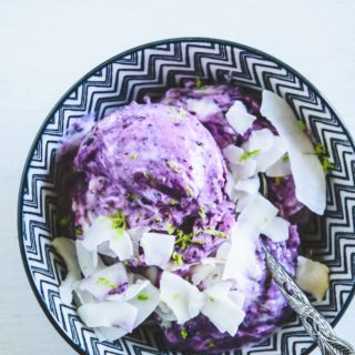 Frozen Blueberry Skyr garniert mit Kokoschips und abgeriebener Limettenschale in einer dunkelblau-weiß gemusterten Schüssel. Löffel mit kunstvollem Stiel. Top View.