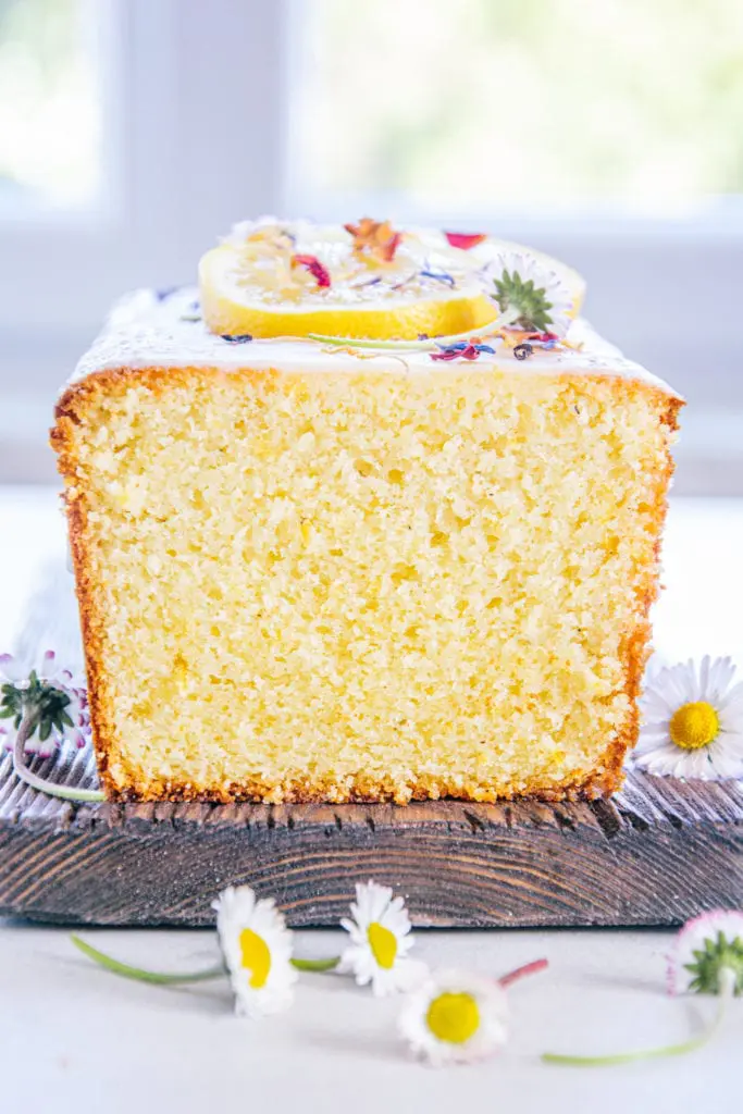 Aufnahme auf Augenhöhe vom angeschnittenen saftigen Zitronenkuchen. Die feinporige und dichte Teigstruktur ist deutlich erkennbar. Kuchen mit Zitronenscheiben und Gänseblümchen verziert.