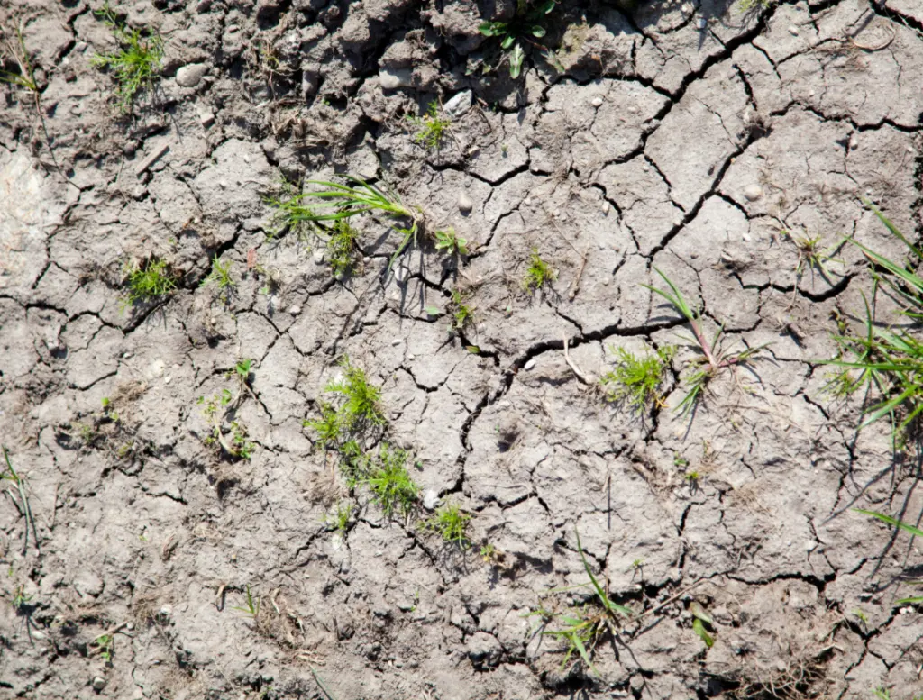 Bodenzerstörung: Ausgetrockneter Boden aus der Vogelperspektive