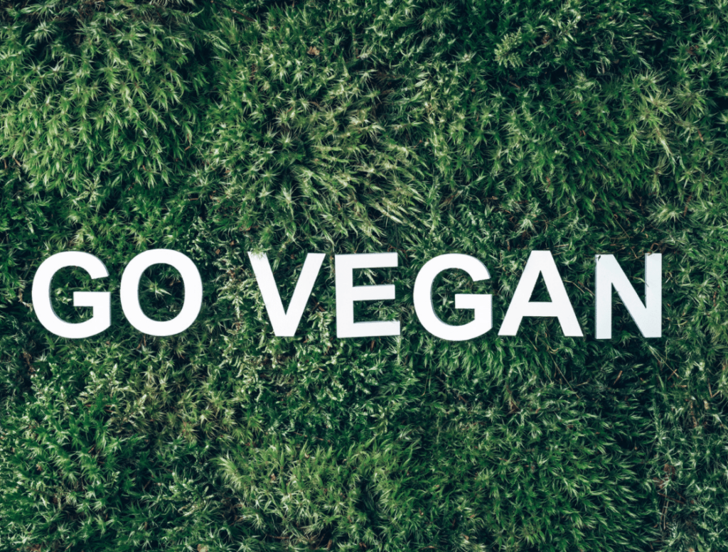 Die Worte "GO VEGAN" in dicken weißen Buchstaben auf einer Art Moos geschrieben