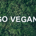 Die Worte "GO VEGAN" in dicken weißen Buchstaben auf einer Art Moos geschrieben