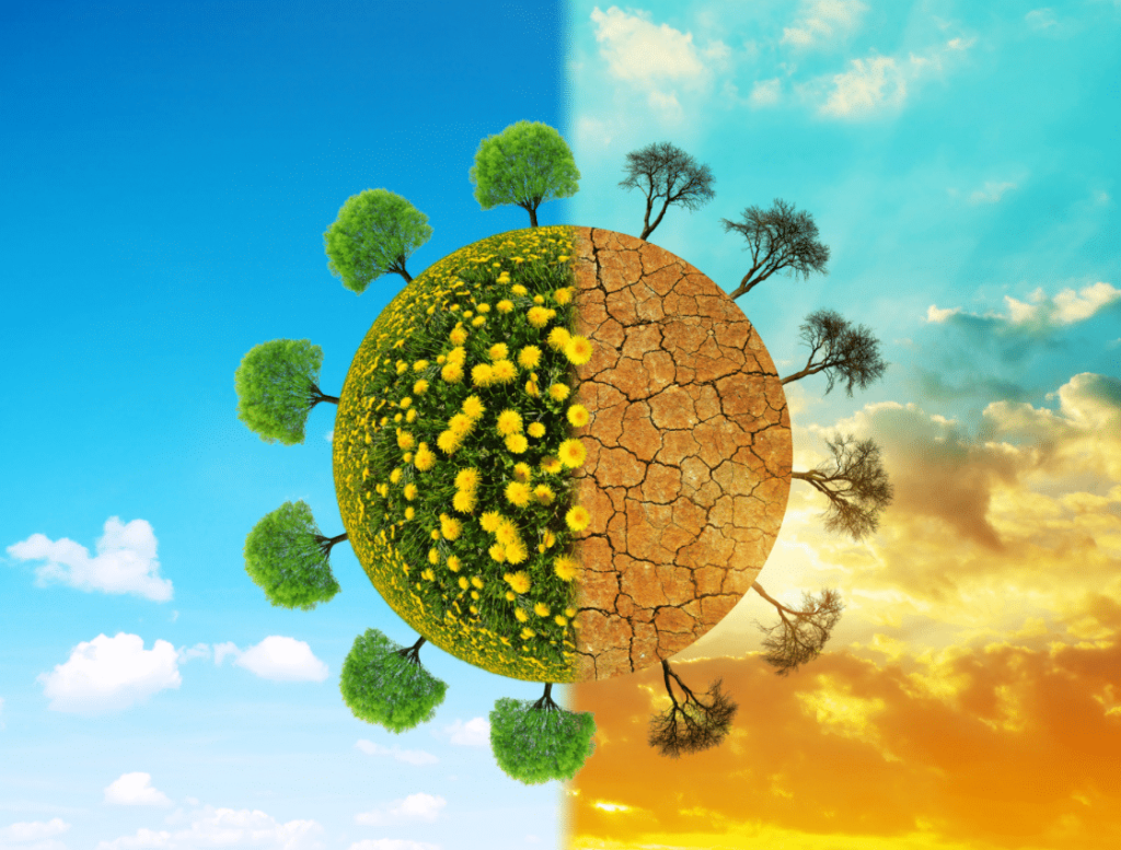 Planet Erde links mit Löwenzahn, grünen Baumen und blauem Himmel, rechts mit ausgetrocknetem Boden, kahlen Bäumen und orangenem HImmel