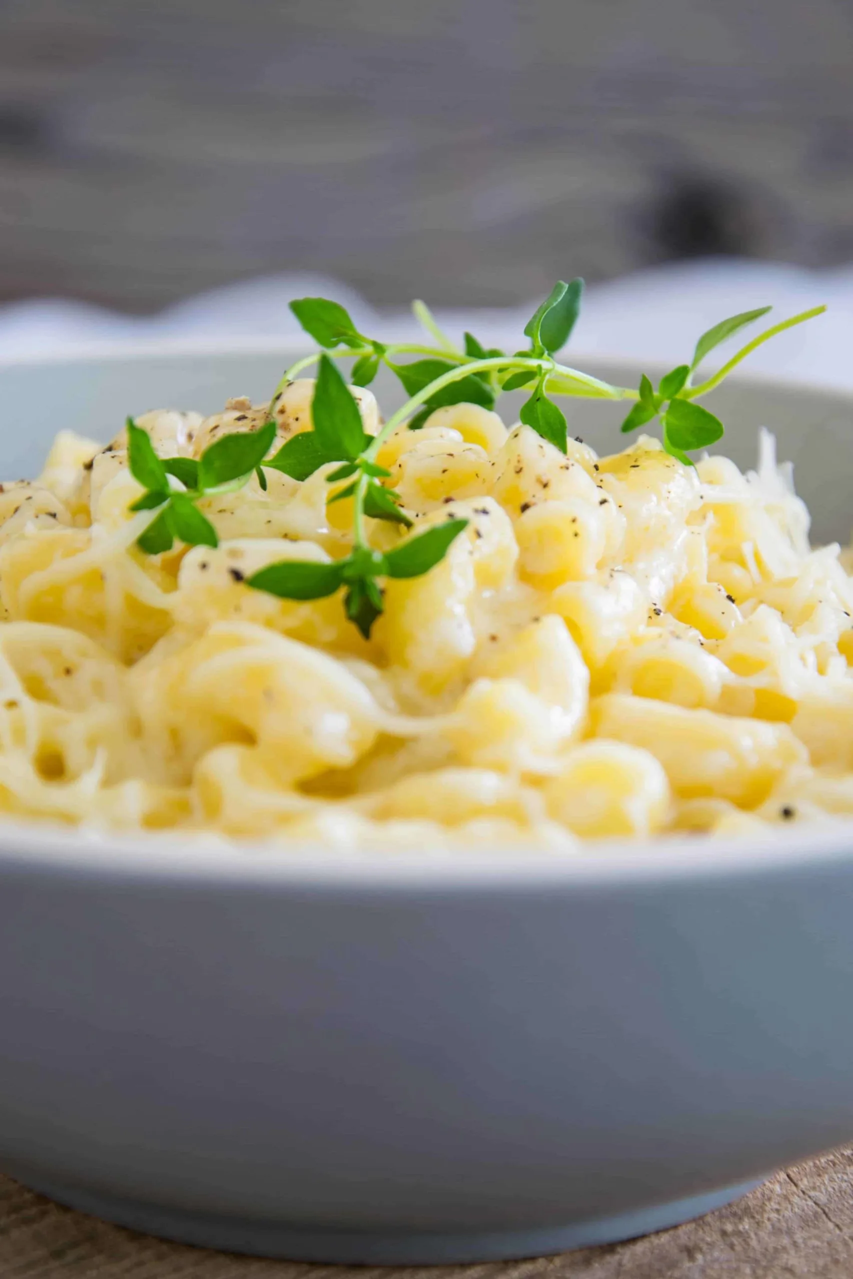 One Pot Käse-Pasta – schnelle Käse-Nudeln (Rezept)