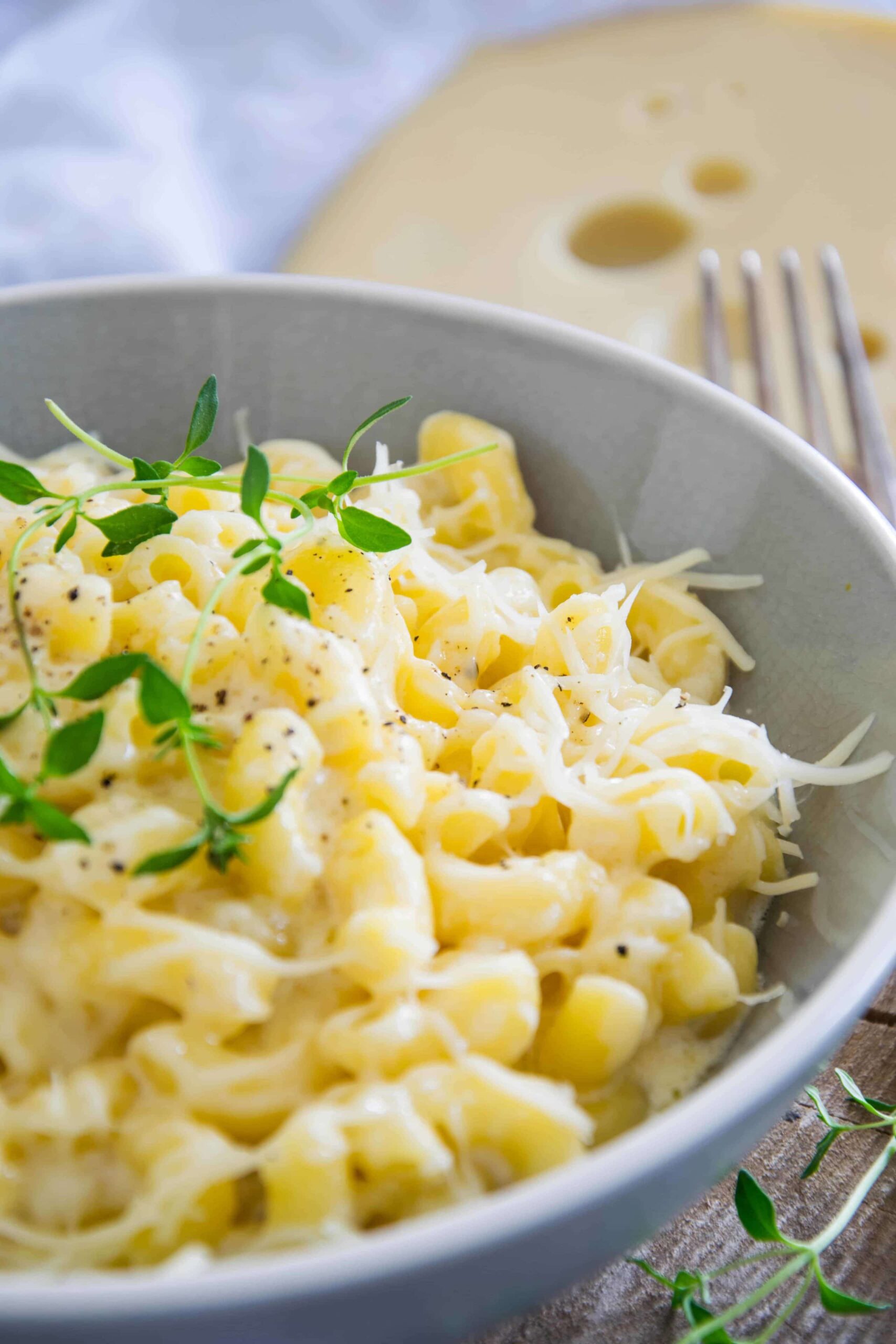 One Pot Käse-Pasta – schnelle Käse-Nudeln