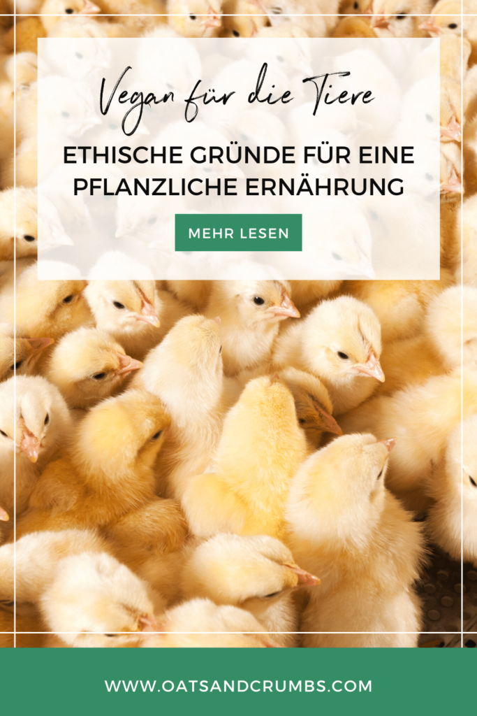 Pinterest-Grafik für den Artikel: "Vegan für die Tiere: Ethische Gründe für eine pflanzliche Ernährung"