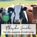 Eine schwarze, eine schwarz-weiße und eine braune Kuh mit Blick in Richtung Kamera auf einer Wiese. Aufschrift: "Ethische Gründe für die vegane Ernährung"