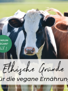 Eine schwarze, eine schwarz-weiße und eine braune Kuh mit Blick in Richtung Kamera auf einer Wiese. Aufschrift: 