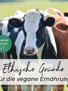 Eine schwarze, eine schwarz-weiße und eine braune Kuh mit Blick in Richtung Kamera auf einer Wiese. Aufschrift: