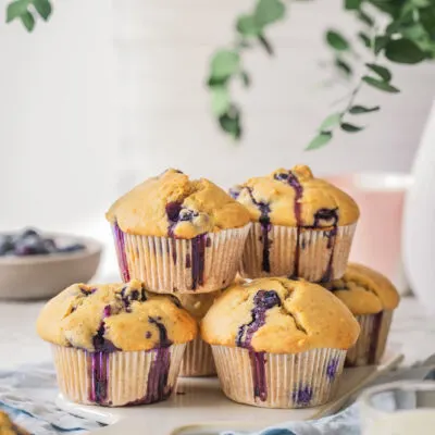 Schnelle Muffins – mit Heidelbeeren und zuckerfrei.